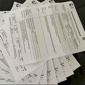 Milana Music - AMEB Results (A)